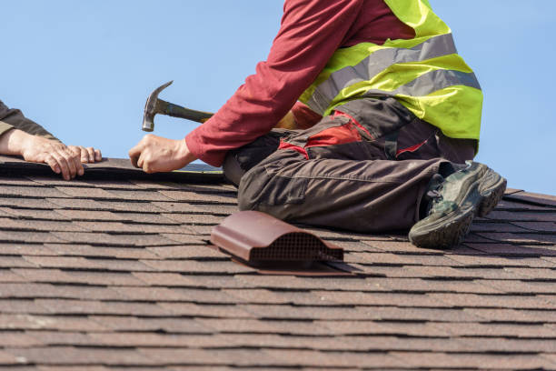 Best Metal Roofing Contractor  in Chaparral, NM